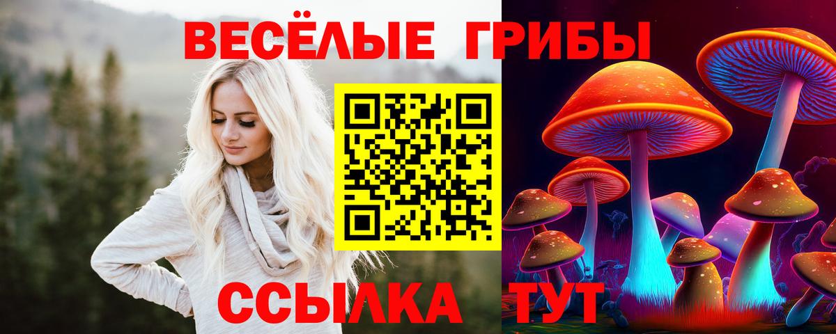 Галлюциногенные грибы ЛСД  Вход с VPN  Галлюциногенные грибы мицелий  где можно купить   Осинники 